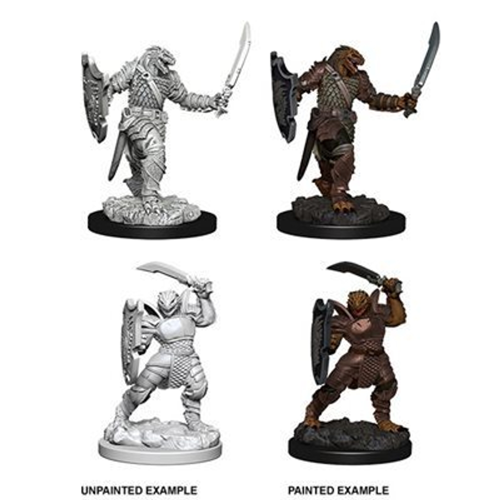 D&D Nolzur's Marvelous Miniatures - Dragonborn Female Paladin