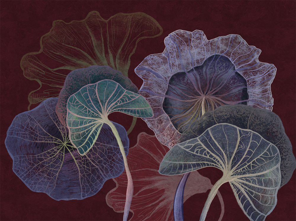 Коллекция SUMMERTIME