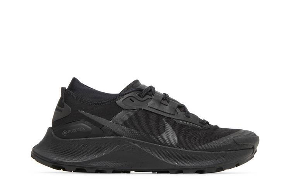 Кроссовки Nike Pegasus Trail 3 Gtx (Женская размерная сетка)