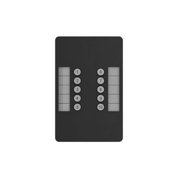 Пульт SnakeSys 10Scene Wall Plate (Dual Pack)