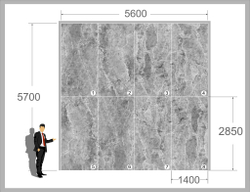 Шерл Сильвер