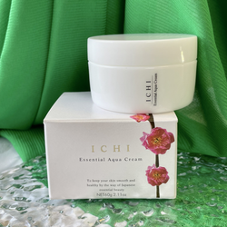 Универсальный увлажняющий крем для лица 7 в 1 ICHI Essential Aqua Cream