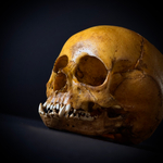 Маленький монстр