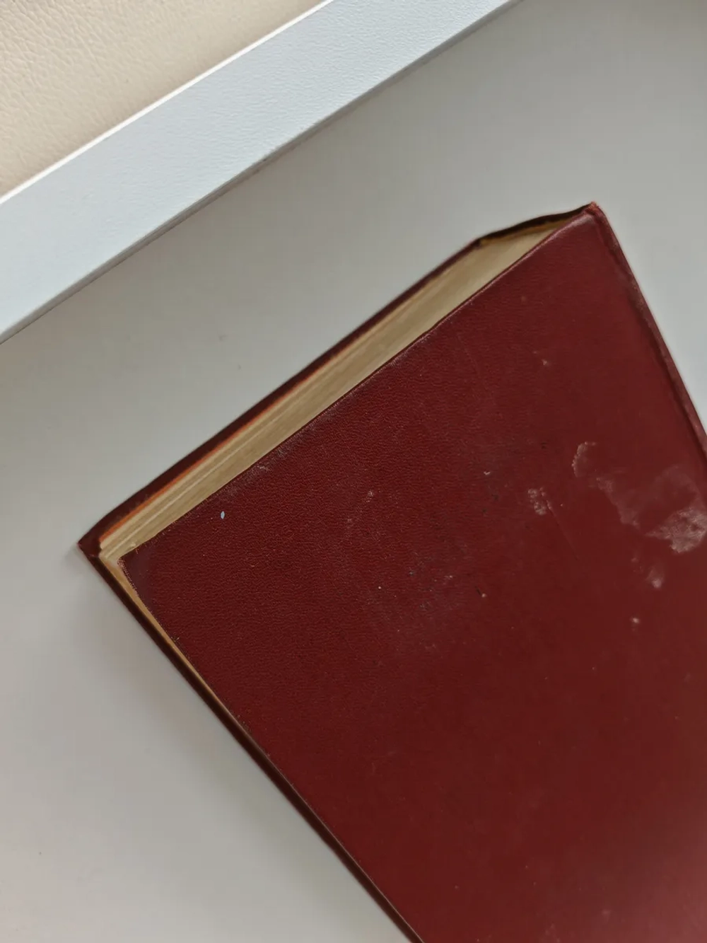 Муки и радости (роман о Микеланджело) (Дефект)