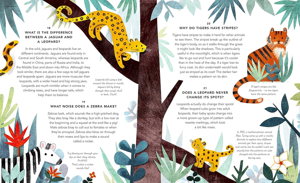 Everything Under the Sun: a curious question for every day of the year Hardcover