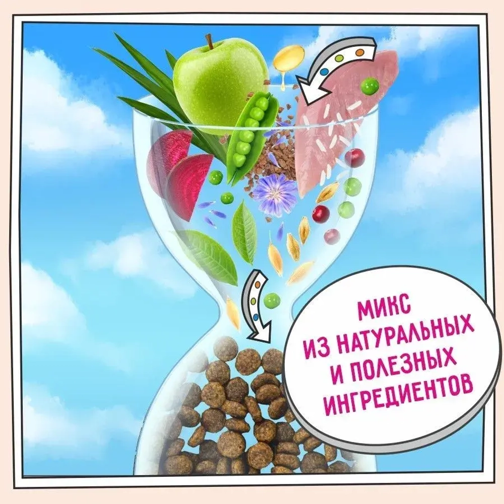 Сухой корм для кощек ZILLII (Зилли) Cat Adult Indoor 10кг индейка и ягненок для домашних кошек