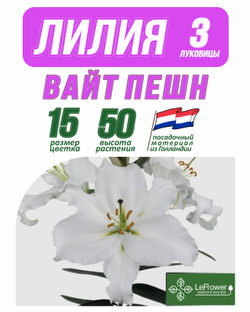 Лилия Луковица, Вайт Пешн  3шт