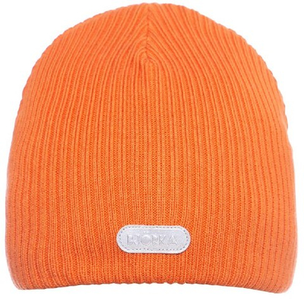 Шапка демисезонная BJORKA