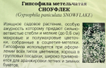 Гипсофила мн. Сноуфлек 0,1 г СМЦ-966