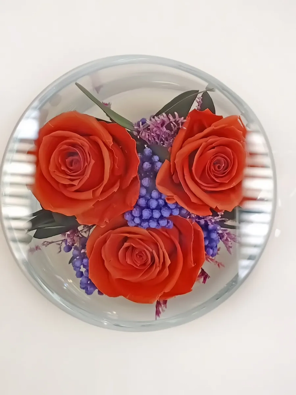 натуральные кустовые розы в стекле, вакуум*