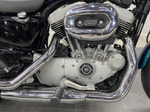 Harley-Davidson Sportster XL1200R , 2004