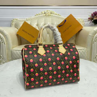 Louis Vuitton Speedy 25