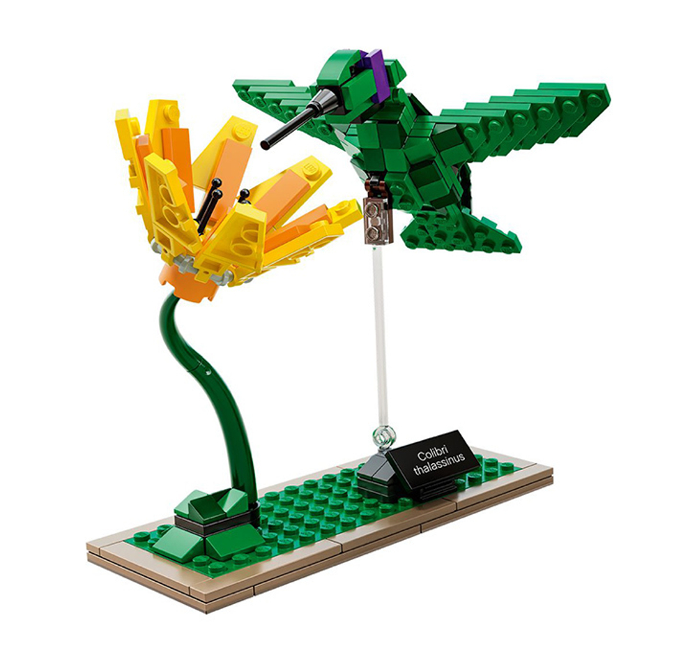 LEGO Ideas: Птицы 21301 — Birds — Лего Идеи