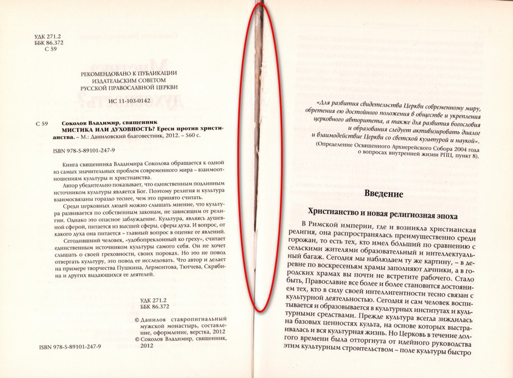 Мистика или духовность? Ереси против христианства. Священник Владимир Соколов_УЦЕНКА