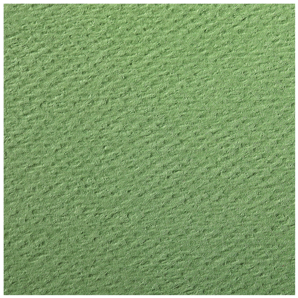 Цветная бумага 500*650мм., Clairefontaine "Etival color", 24л., 160г/м2, зеленое яблоко, легкое зерно, хлопок