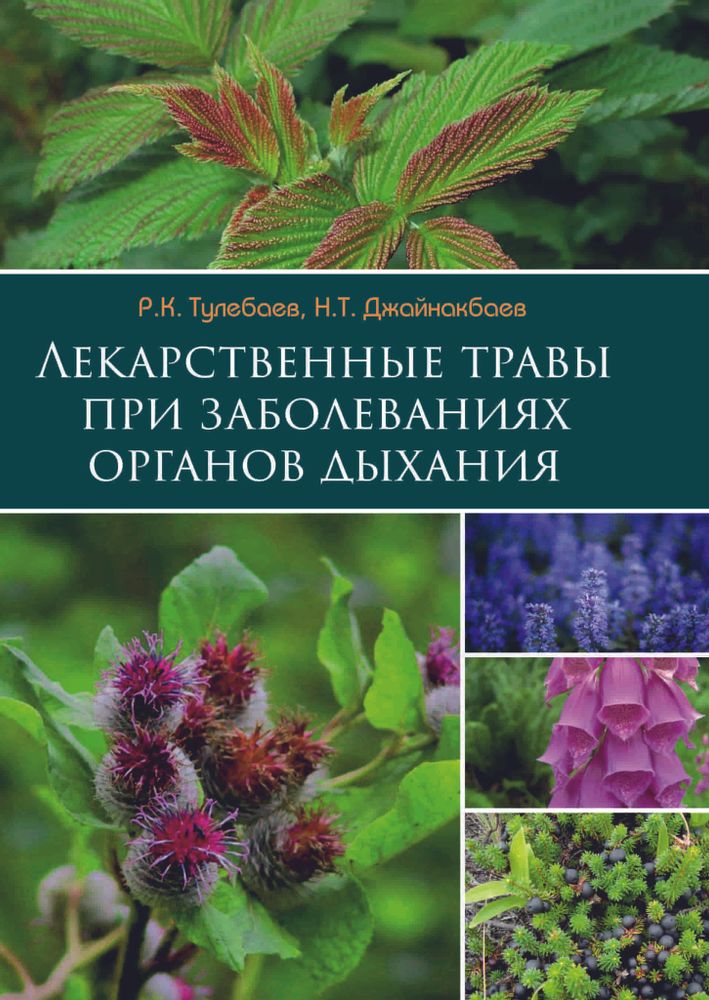 Лекарственные травы при заболеваниях органов дыхания