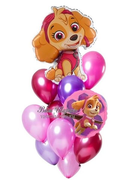 Букет шаров "Щенок Скай на ДР"