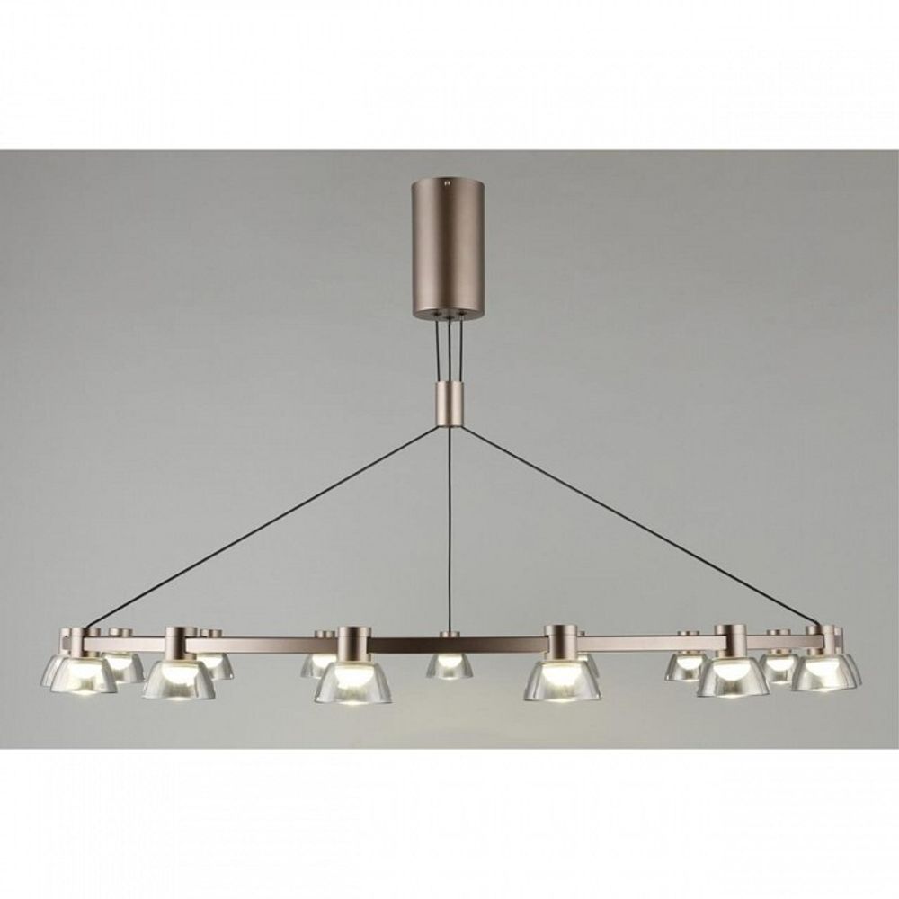 Подвесная люстра Aployt Rezeda APL.788.03.15