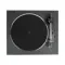 Rekkord Audio F100P (AT91) Black