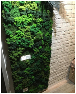 Комбинированное панно из мха