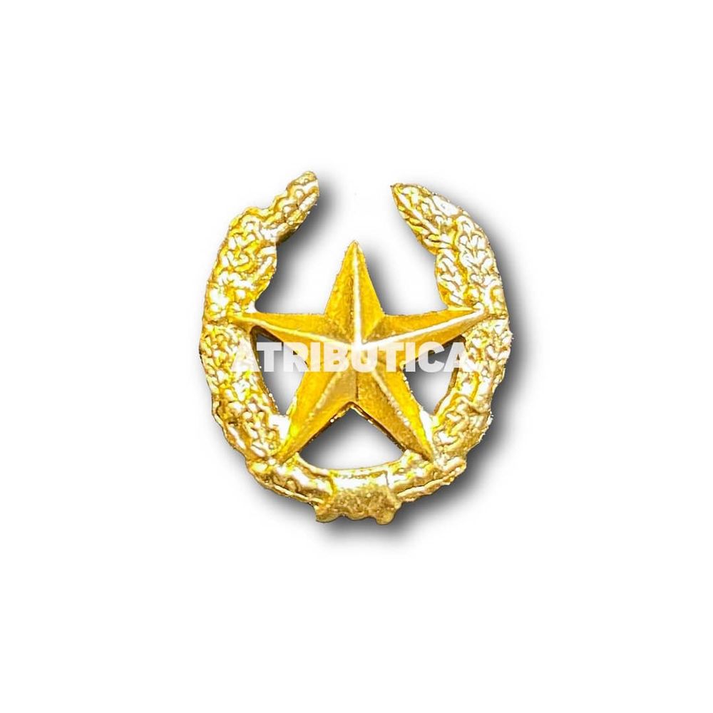 Эмблема ( Знак ) Петличная ( Петлица ) Общевойсковая СА Золотистая | ATRIBUTICASTORE.RU