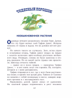 Урфин Джюс и его деревянные солдаты (ил. А. Власовой) (#2)