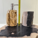 Набор из окаменелого дерева 4 предм Fossil Set NF-63285 поднос 149
