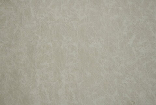 Микровелюр Асти 01