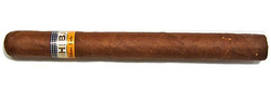 Cohiba Siglo V