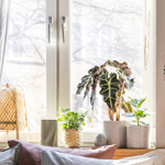 Горшок для растений IKEA CHIAFRON (ЧИАФРЁН), Белый, 12 см