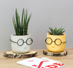 Кашпо СТИВ D115мм 0,65л с дренажной вставкой М3079