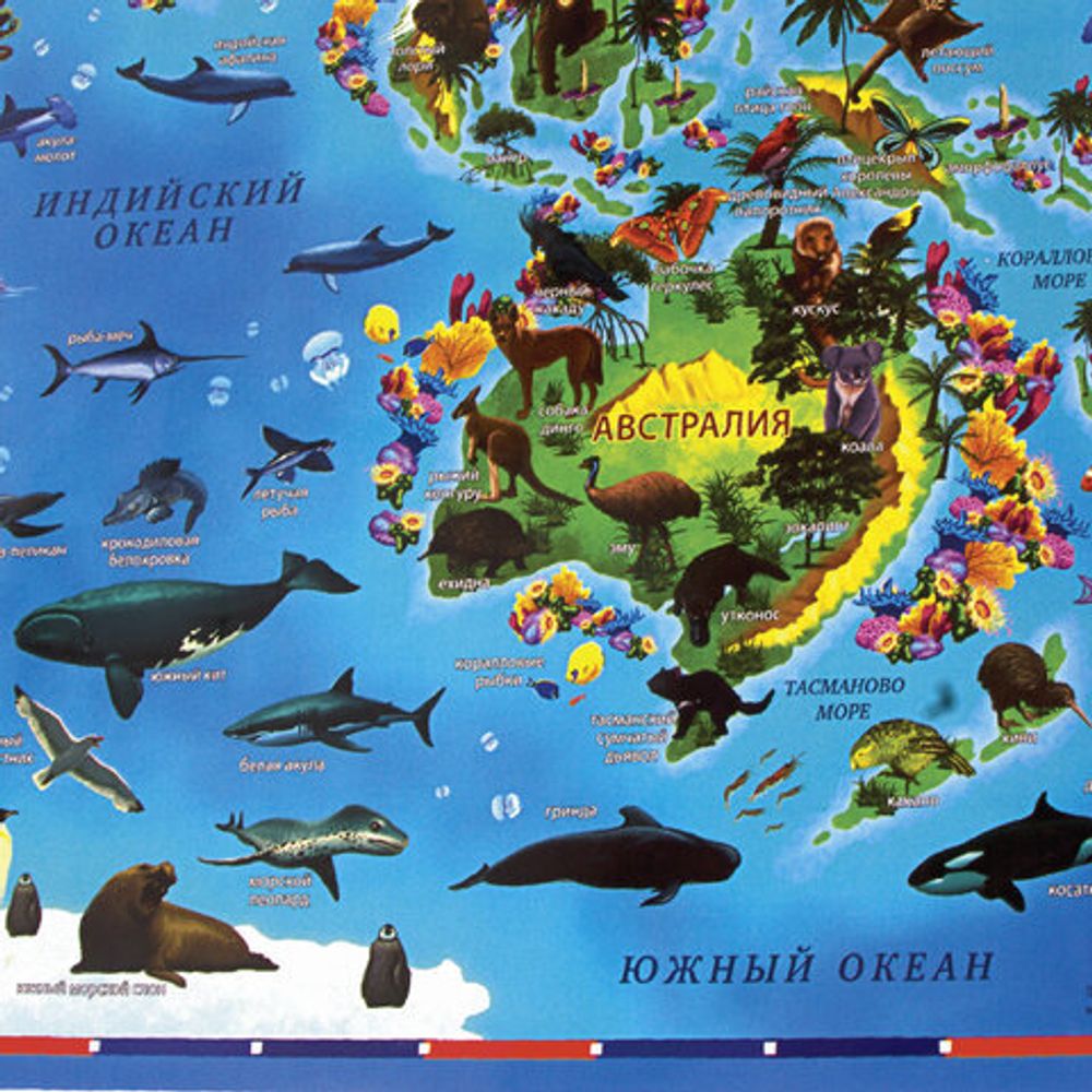 Карта мира "Животный и растительный мир" 101х69 см, интерактивная, в тубусе, ЮНЛАНДИЯ, 112373