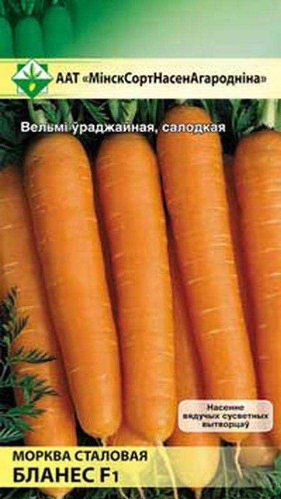 Морковь &quot;Бланес F1&quot; 200шт, Нидерланды.