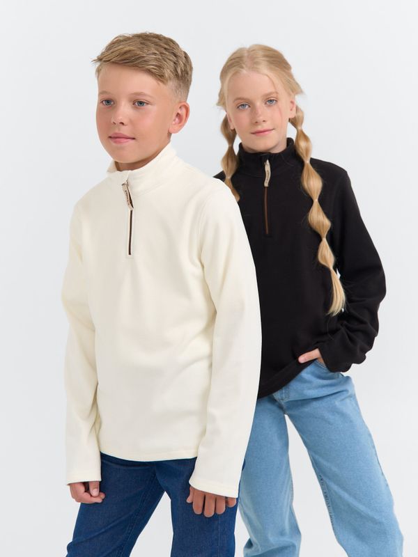 Олимпийка флисовая 