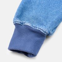  Куртка мужская Dickies Hooded Denim Jacket артикул:DK0A89FBCLB1 - купить в магазине Дайс