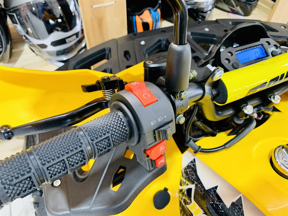 Квадроцикл FXMOTO HORNET 125