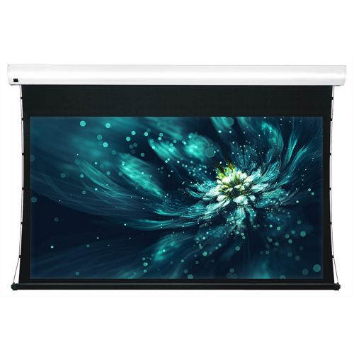 Моторизированный экран ViewScreen Premium 16:10 130" 280х175 [LF-MC130]