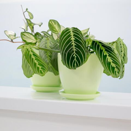 Керамический горшок "Бутон" с подставкой, 1,4л., Д135 Ш135 В130, нежно-салатовый