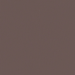 Велюр Blitz / Блитц