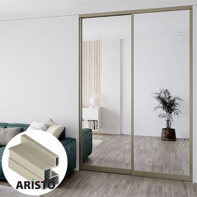 Дверь-купе ARISTO YOTA, зеркало, профиль шампань матовая