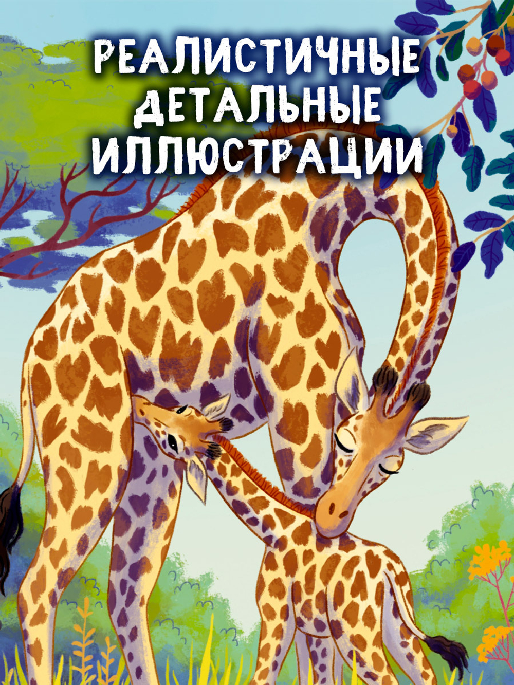 Удивительные животные. Малышка жираф. Приключения в саванне