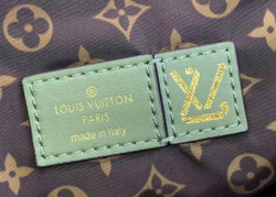Louis Vuitton Pillow Onthego GM