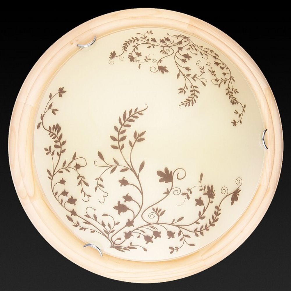 Накладной светильник TopLight Irene TL9630Y-00PN