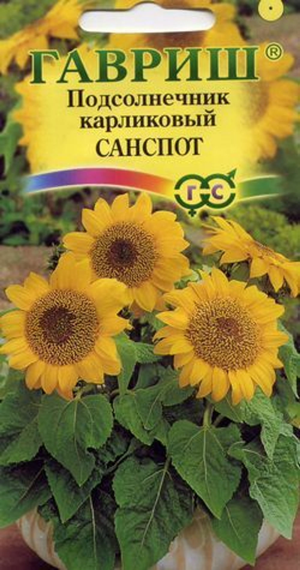 Семена Подсолнечник карликовый Санспот карликовый Санспот
