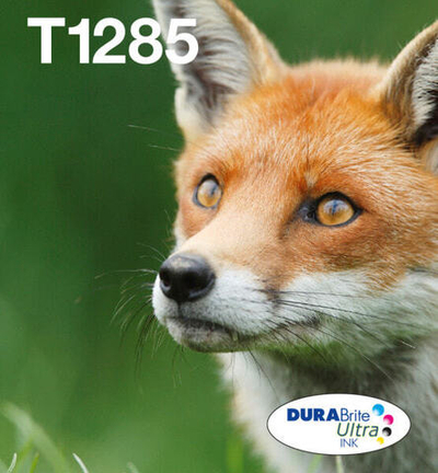 Epson Fox T128 Подлинный Черный, Голубой, Пурпурный, Желтый 1 шт C13T12854511