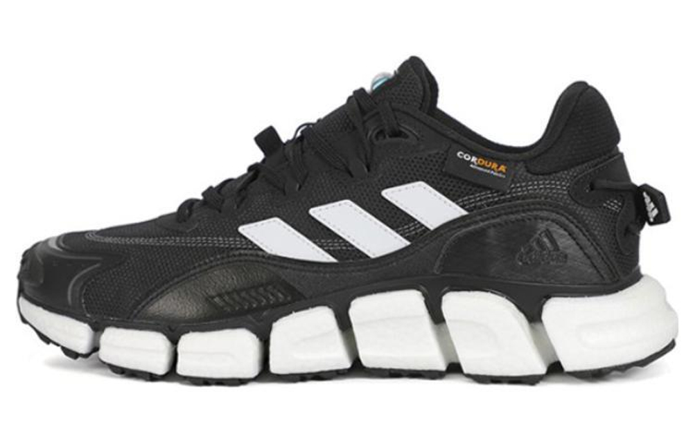 Кроссовки Adidas Climawarm Boost