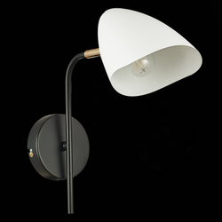 Светильник настенный Evoluce Satta SLE103601-01