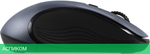 Мышь Acer OMR306 черный/серый (ZL.MCECC.021)