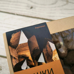 Шишки в настоящем тёмном шоколаде, 100 гр.