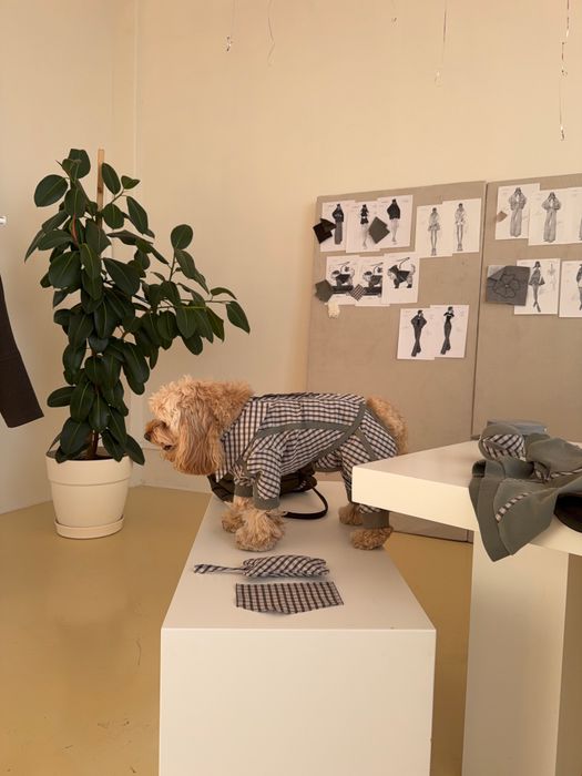 БРЮКИ САВЬЕ ДЛЯ СОБАК ХАКИ